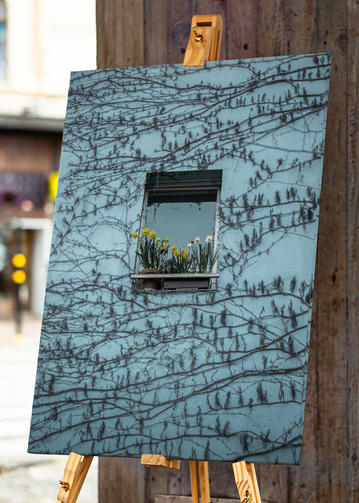 Påskeliljer i vinduet