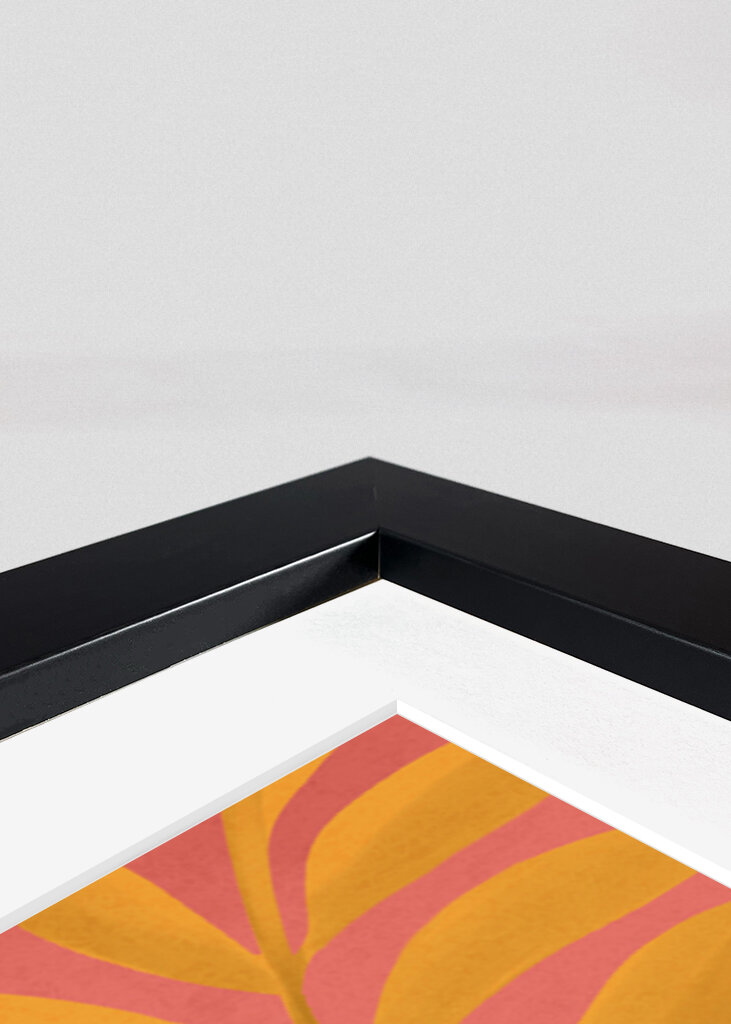 The Cat and the Calm