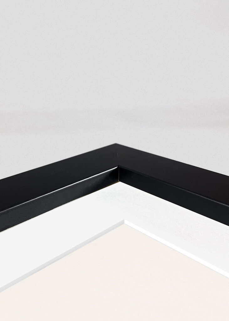 Minimalist Still Life