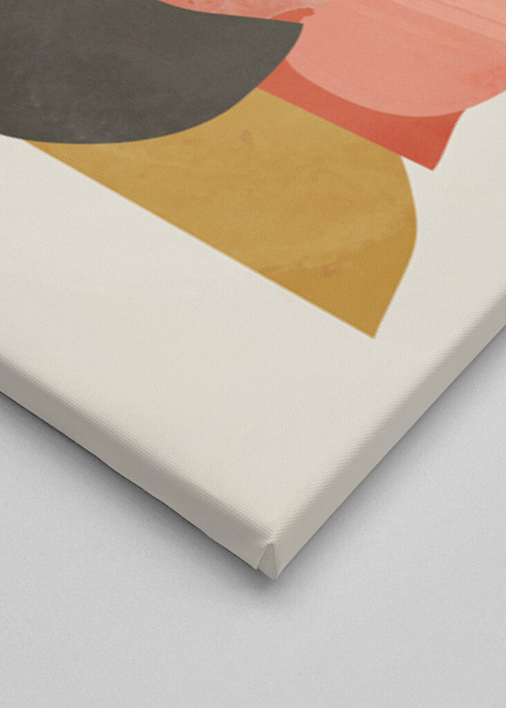 Geometric Shapes And A Stylized Plant,