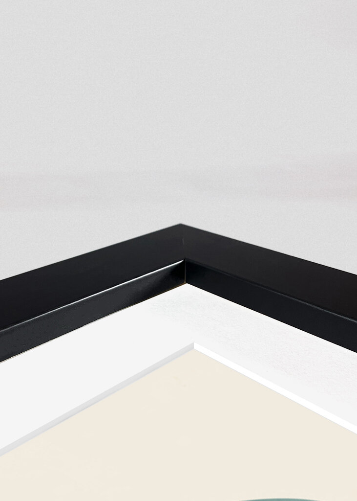 Geometric Shapes And A Stylized Plant,