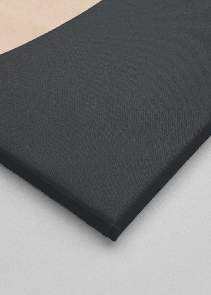 Minimal Abstract Art Vase Flower