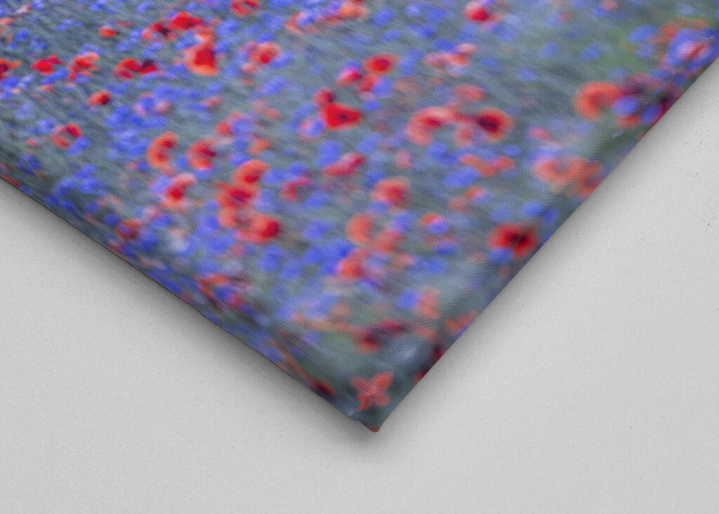 Red and blue flowers