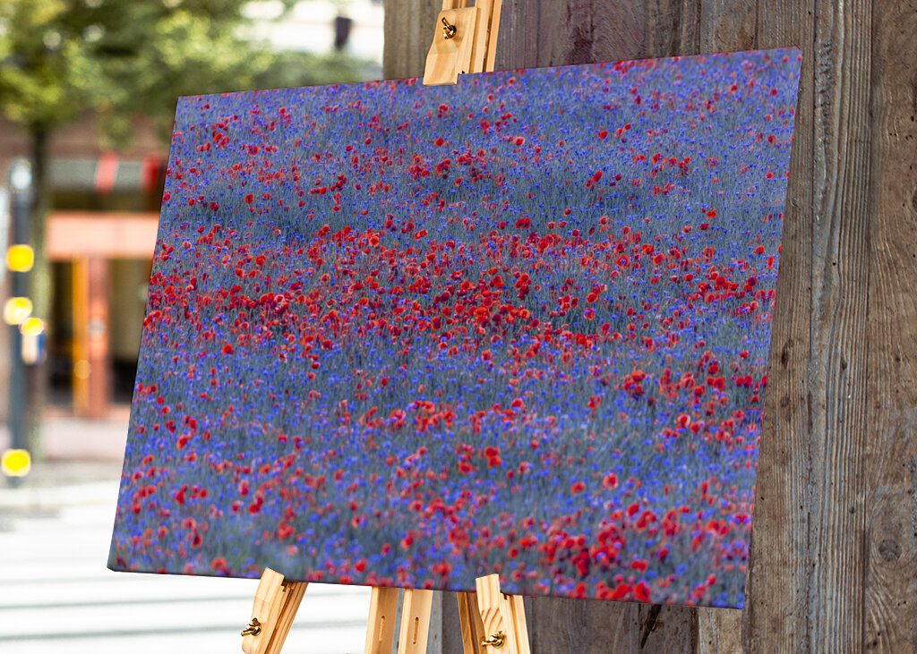 Red and blue flowers