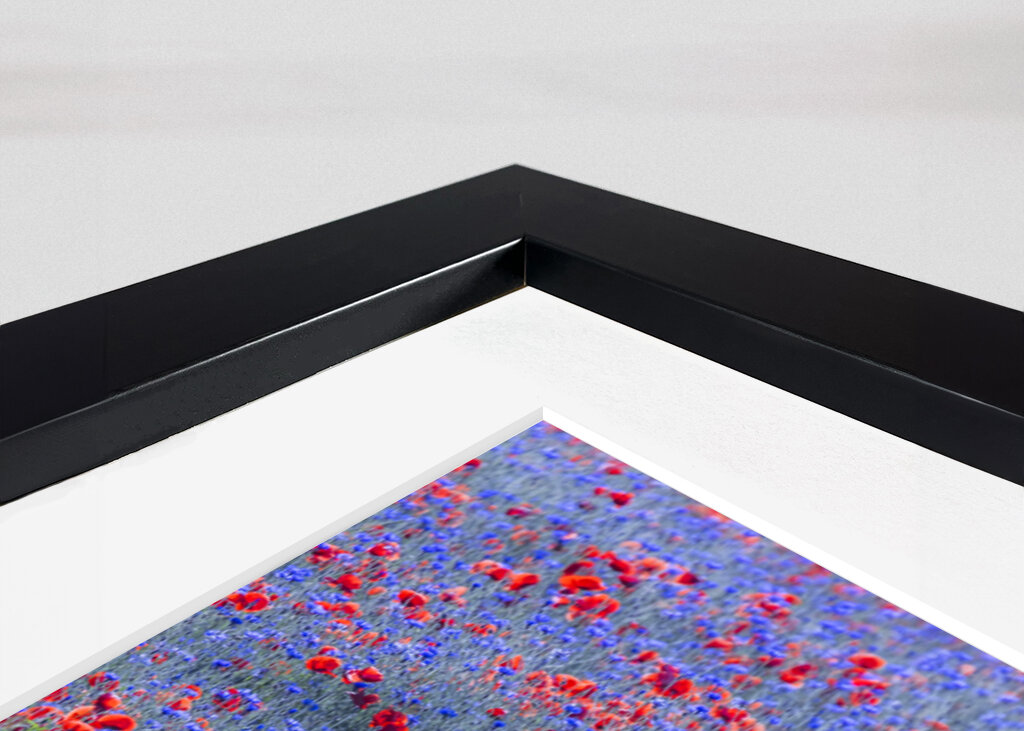 Red and blue flowers