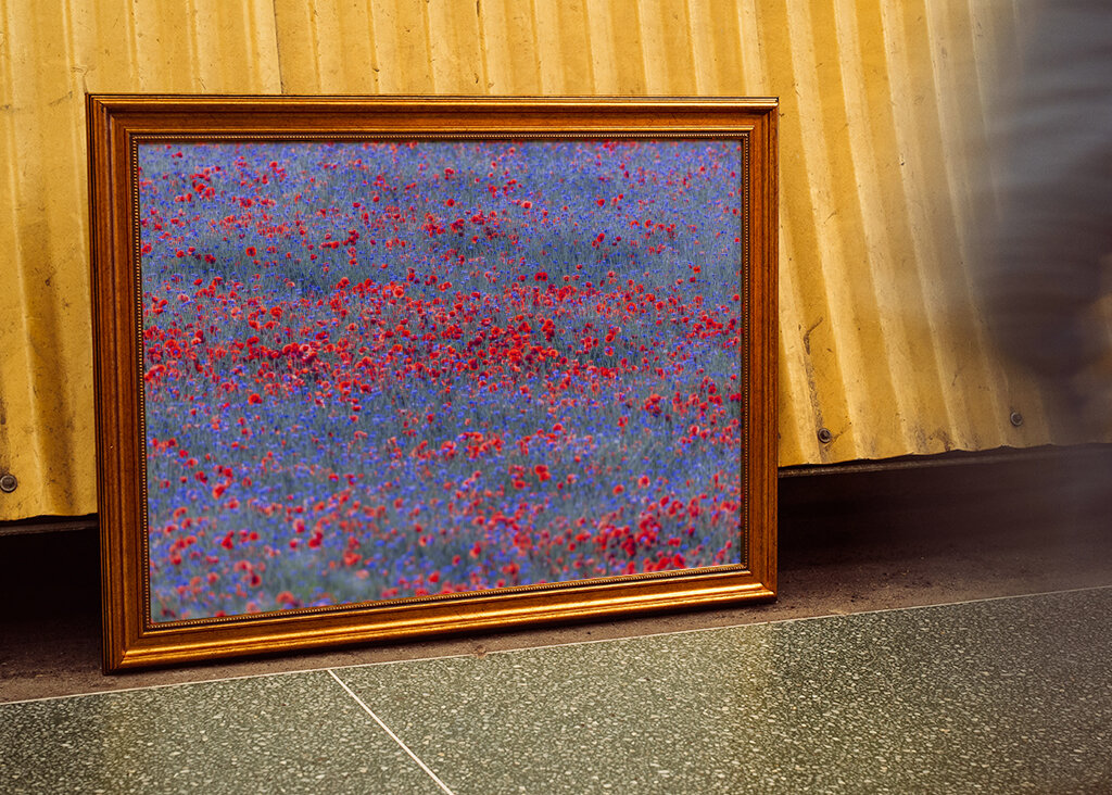 Red and blue flowers