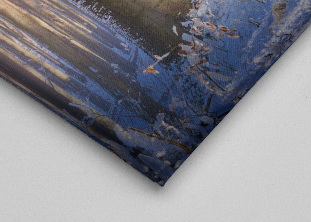 Neblig-sonniger Winterwald