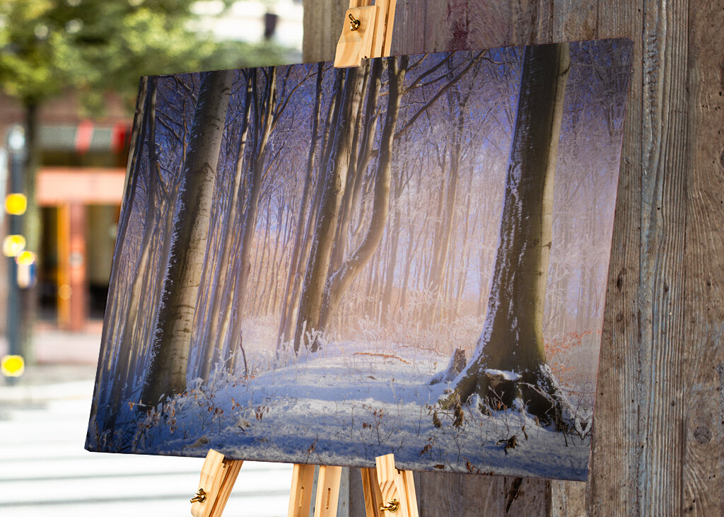 Neblig-sonniger Winterwald