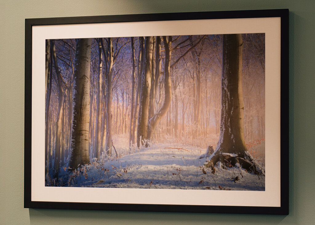 Neblig-sonniger Winterwald