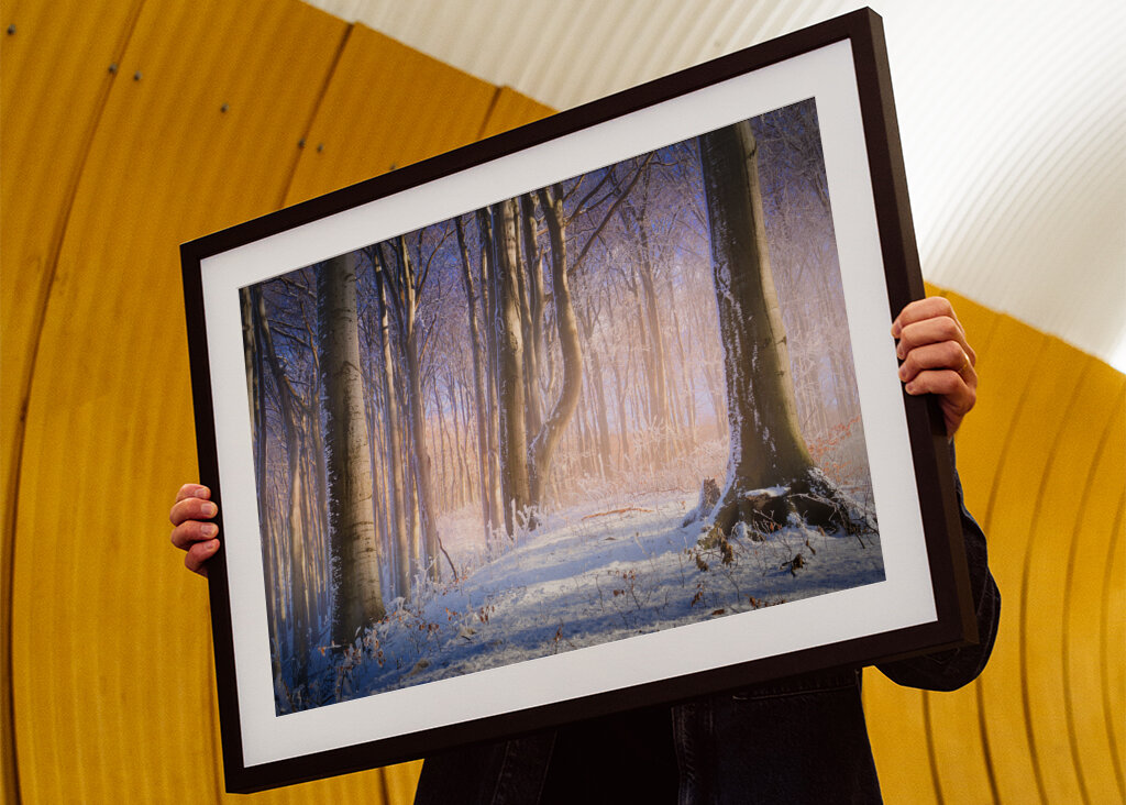 Neblig-sonniger Winterwald