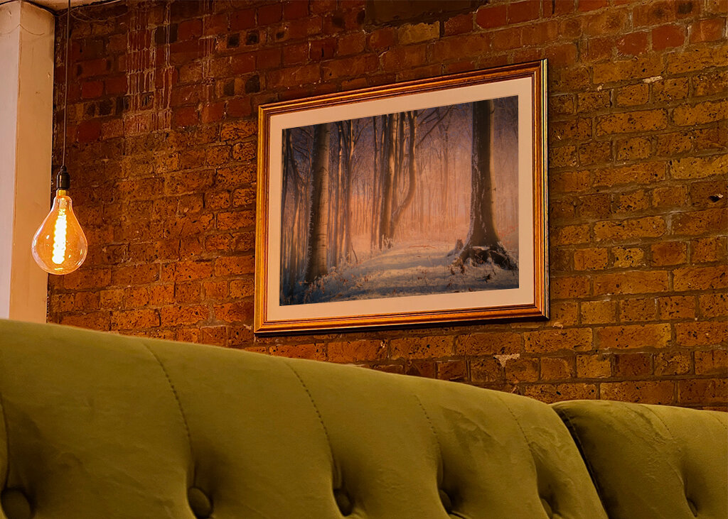 Neblig-sonniger Winterwald