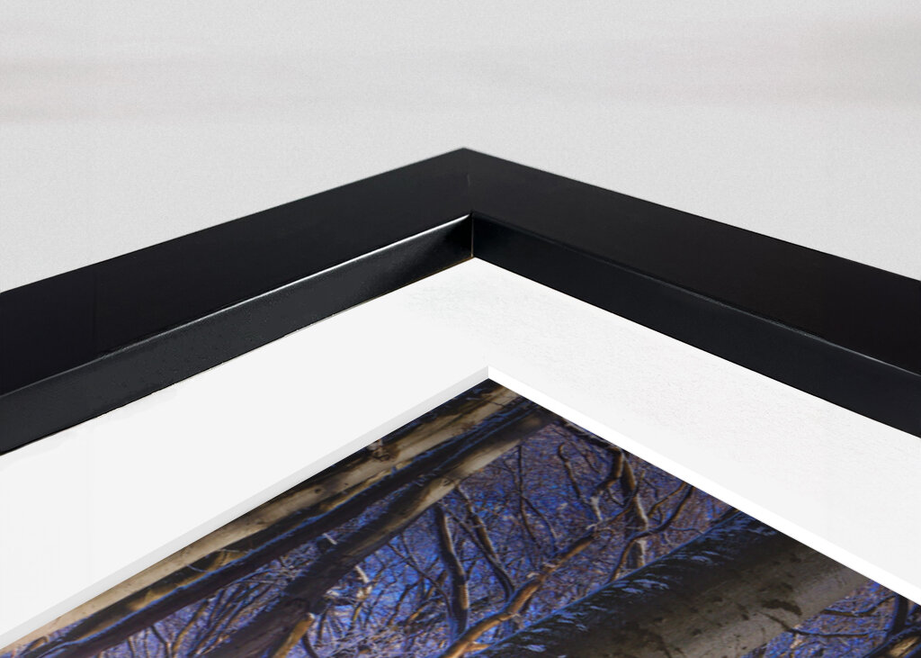 Neblig-sonniger Winterwald