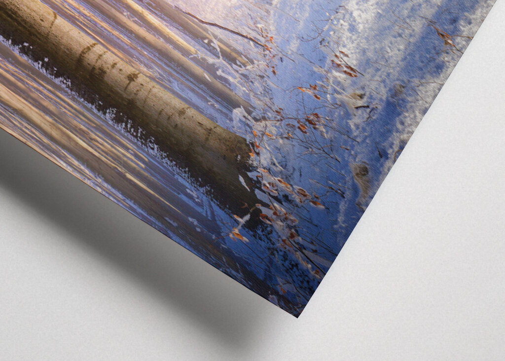 Neblig-sonniger Winterwald