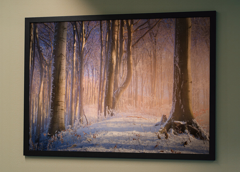 Neblig-sonniger Winterwald