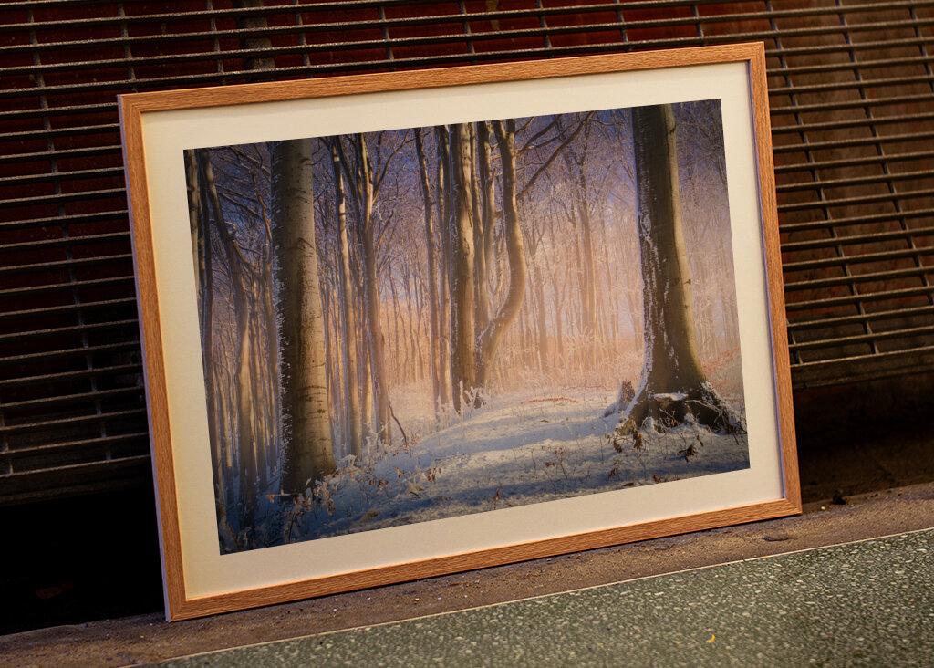 Neblig-sonniger Winterwald