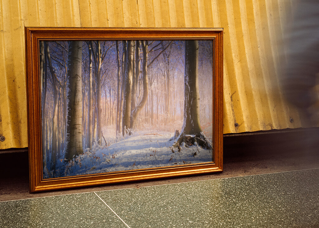 Neblig-sonniger Winterwald