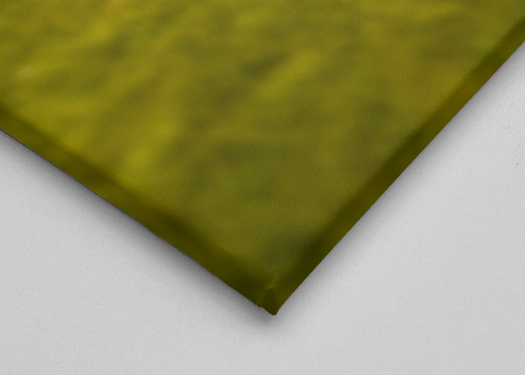 Miniatyr Ales stenar