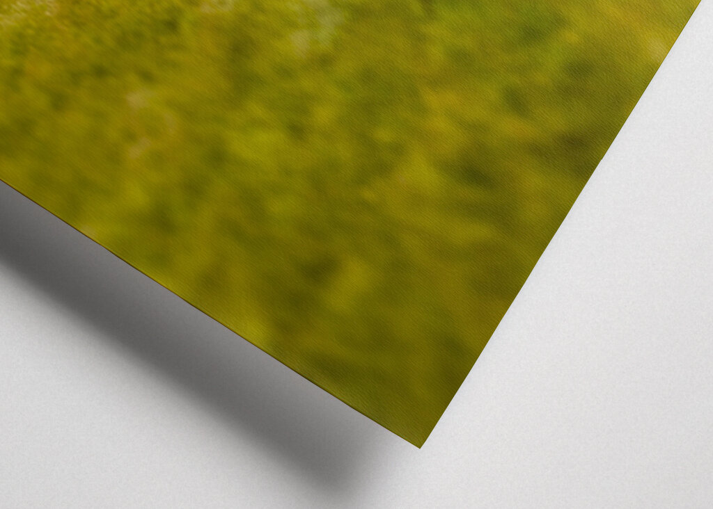 Miniatyr Ales stenar