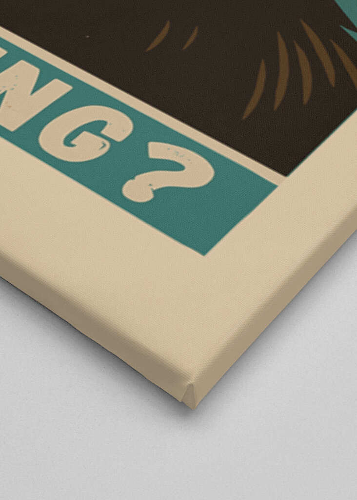 "Tu fais caca ? gorille a dit