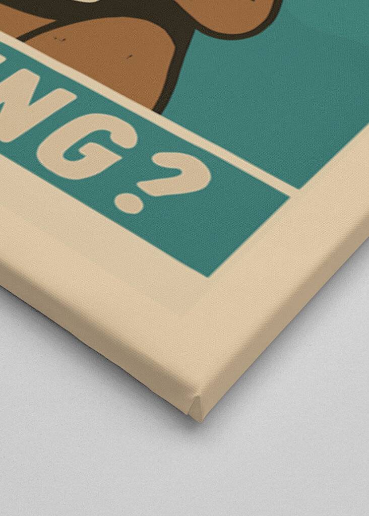 Neugierige Katze mit Toilettenpapier