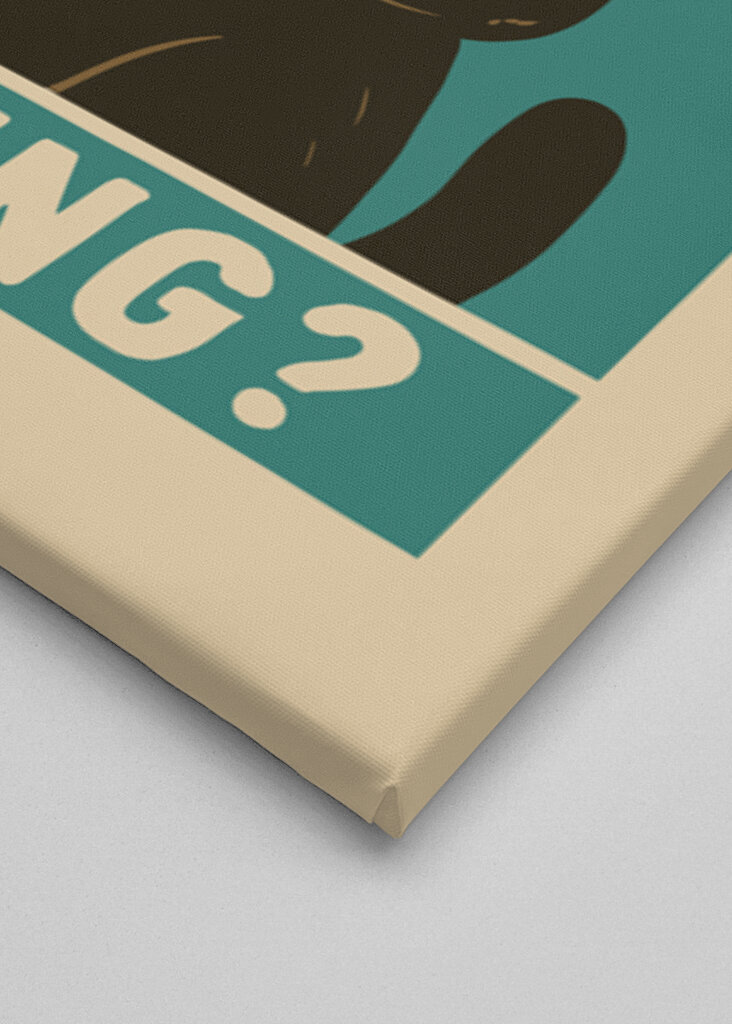 Neugierige Katze mit Toilettenpape