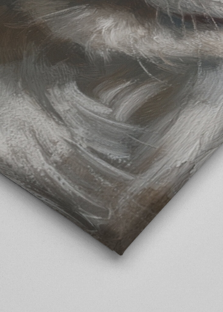 Klovni Kissan muotokuva