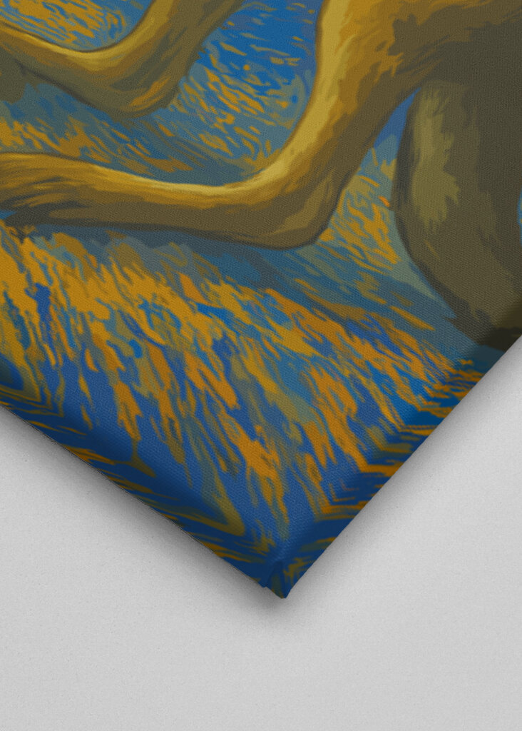 Känguru Tanzt den Sternenhimmel 