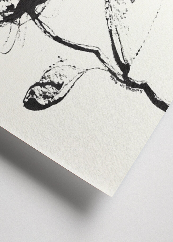 Petal Sketch Essence