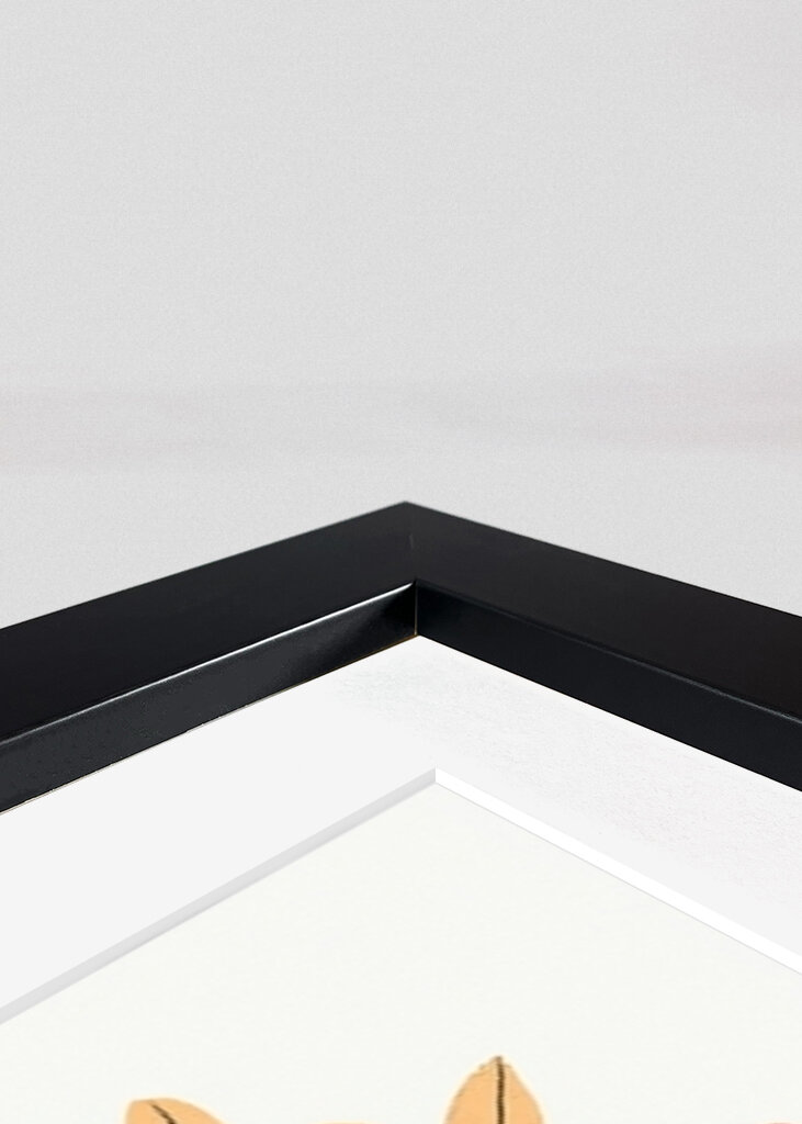 Potted Florals Colorful Flowers