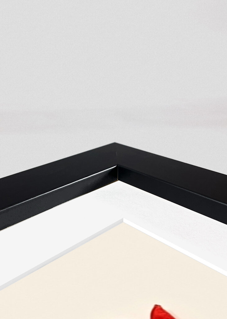 Potted Florals Red Flowers