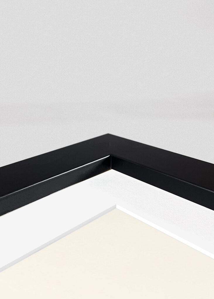 Potted Florals Colorful Flowers