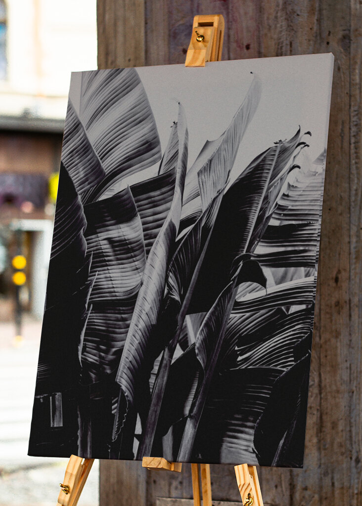 Large Tropical Leaves