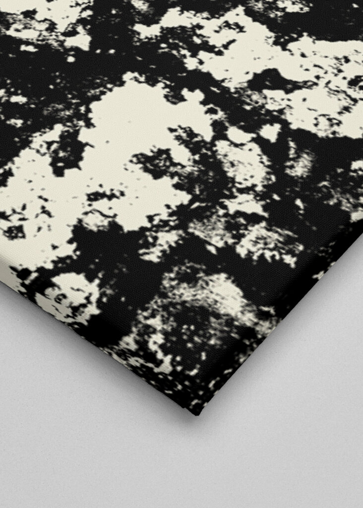 Striking Black and White Texture