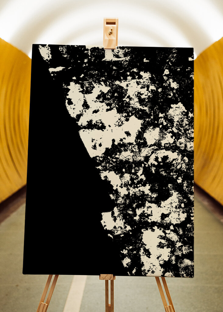 Striking Black and White Texture