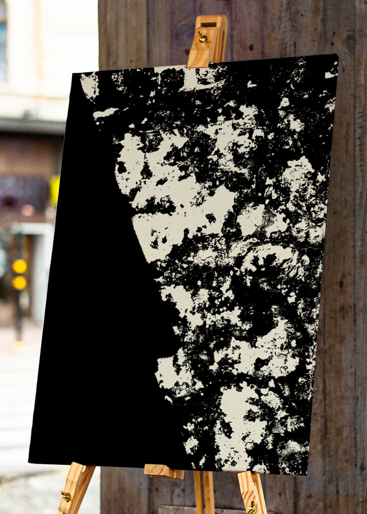 Striking Black and White Texture