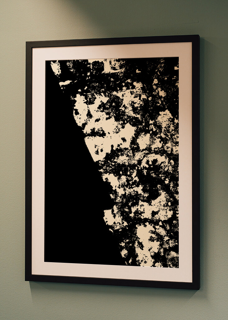 Striking Black and White Texture