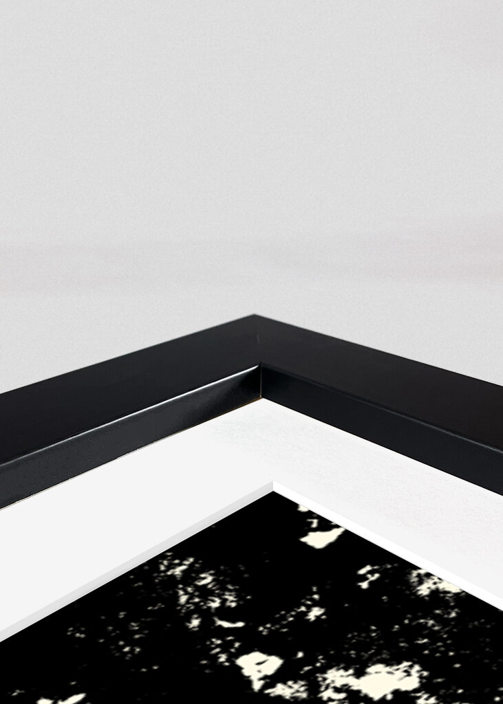 Striking Black and White Texture