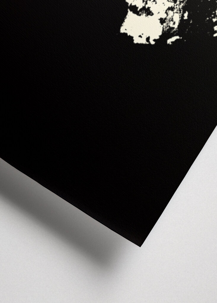 Striking Black and White Texture