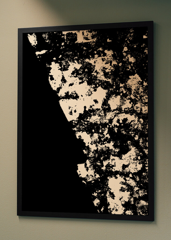 Striking Black and White Texture