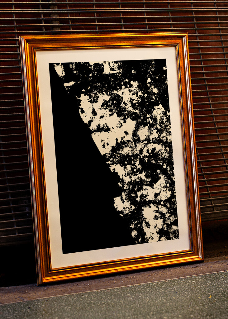 Striking Black and White Texture