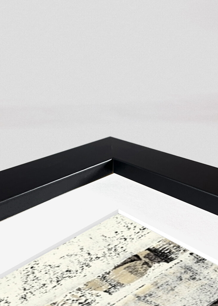 Monochrome Linescape