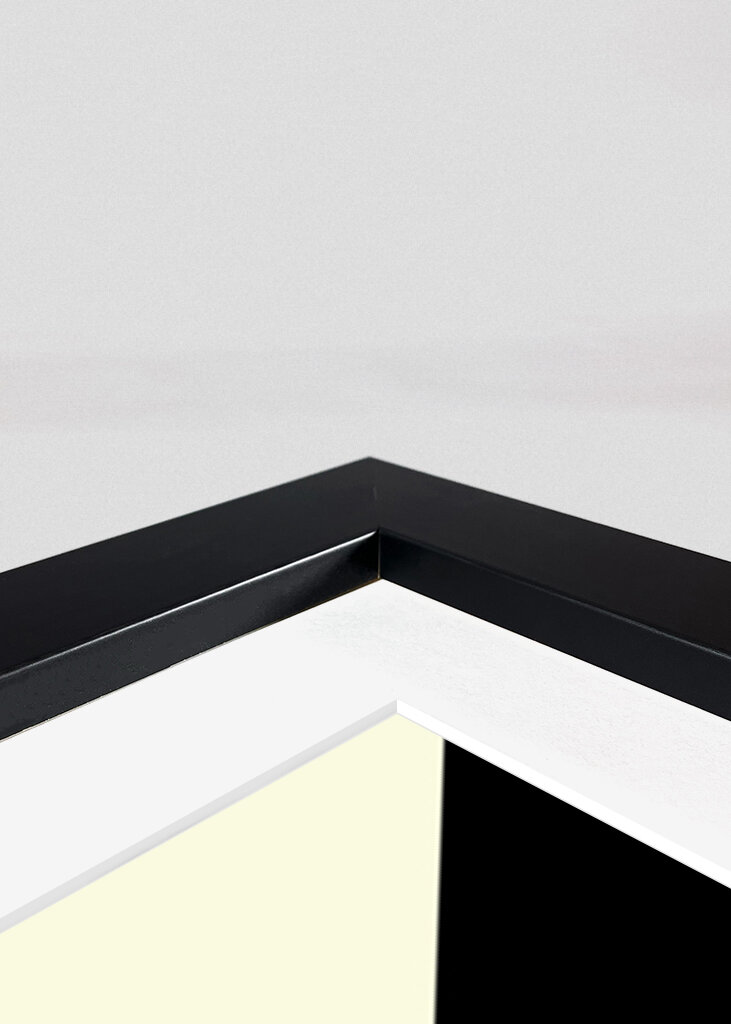 Geometric Abstraction