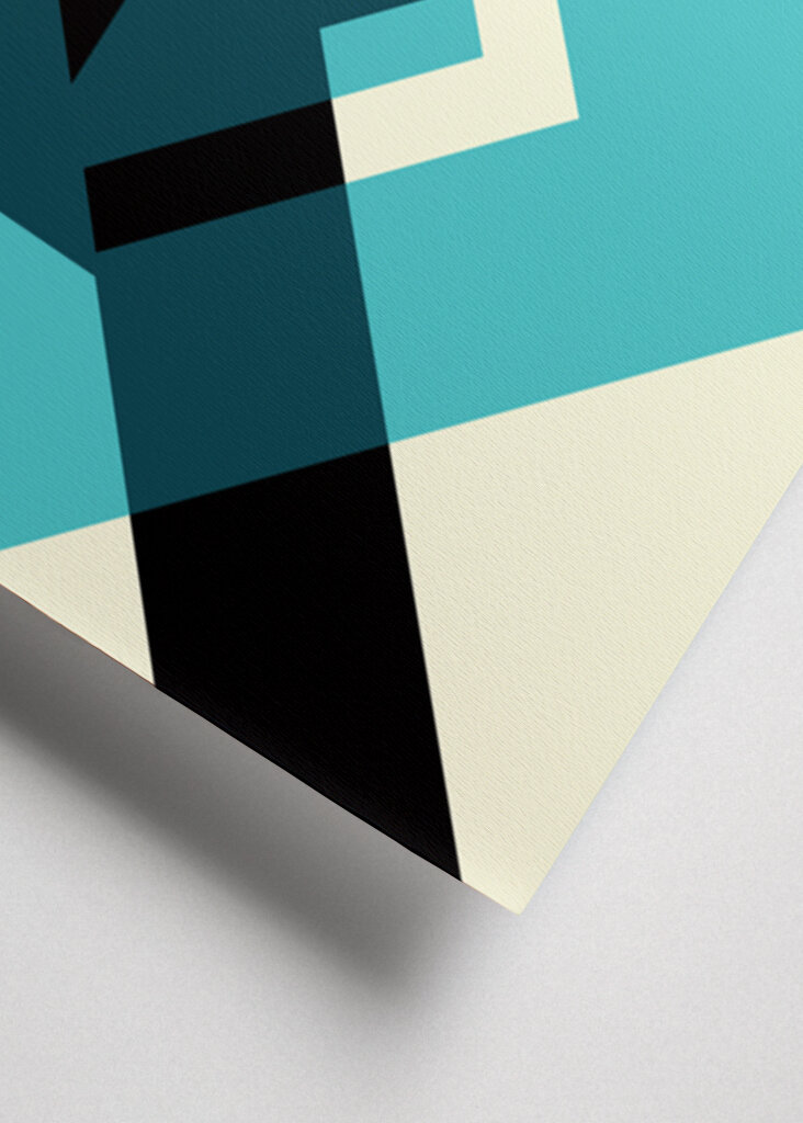 Geometric Abstraction