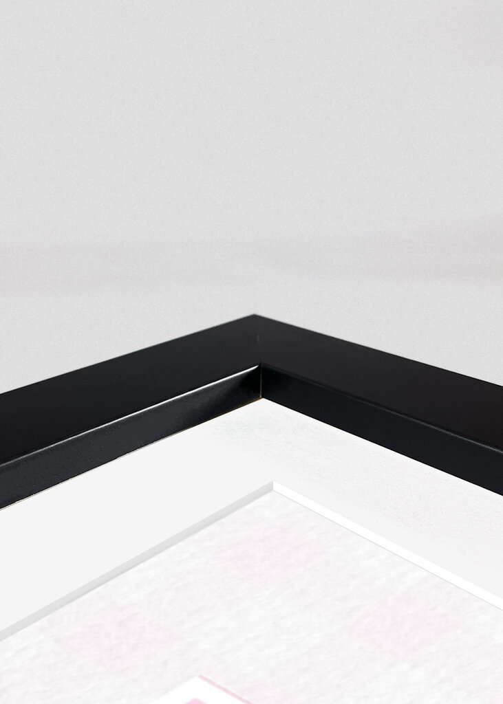 Pink Delight Quartet