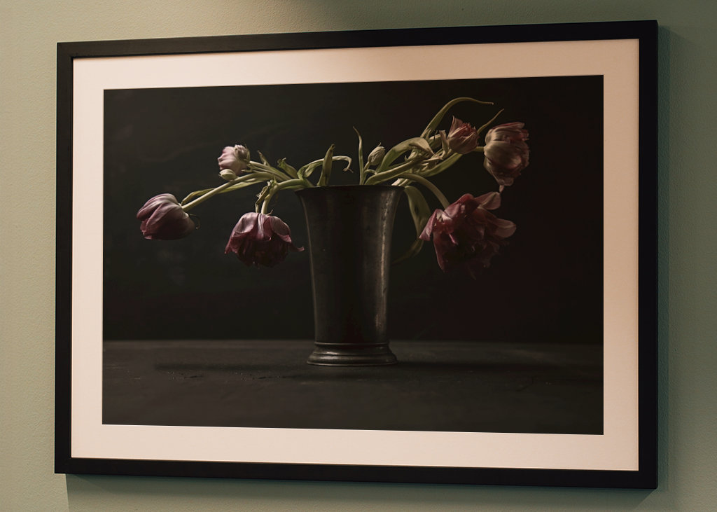 Tulips Stillife