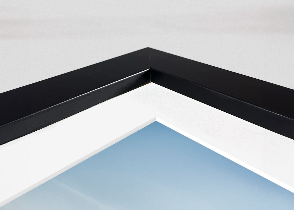 Djurgårdsfärjan i vintertid