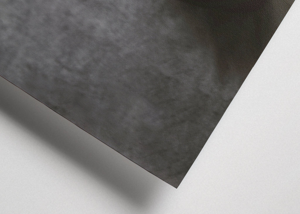 Stillife tulips on vase