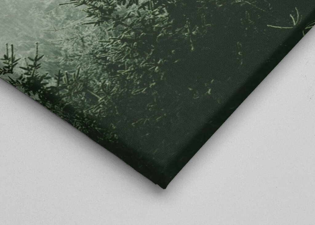 Mountain Forest Green