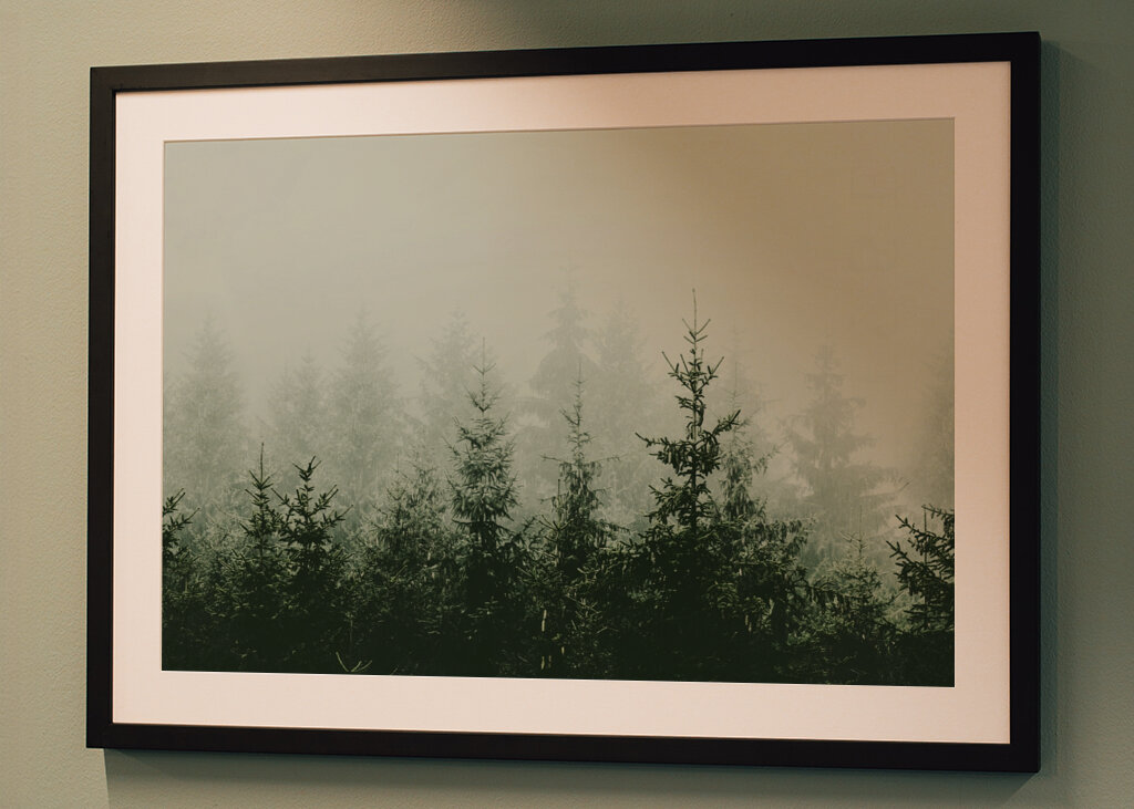 Mountain Forest Green