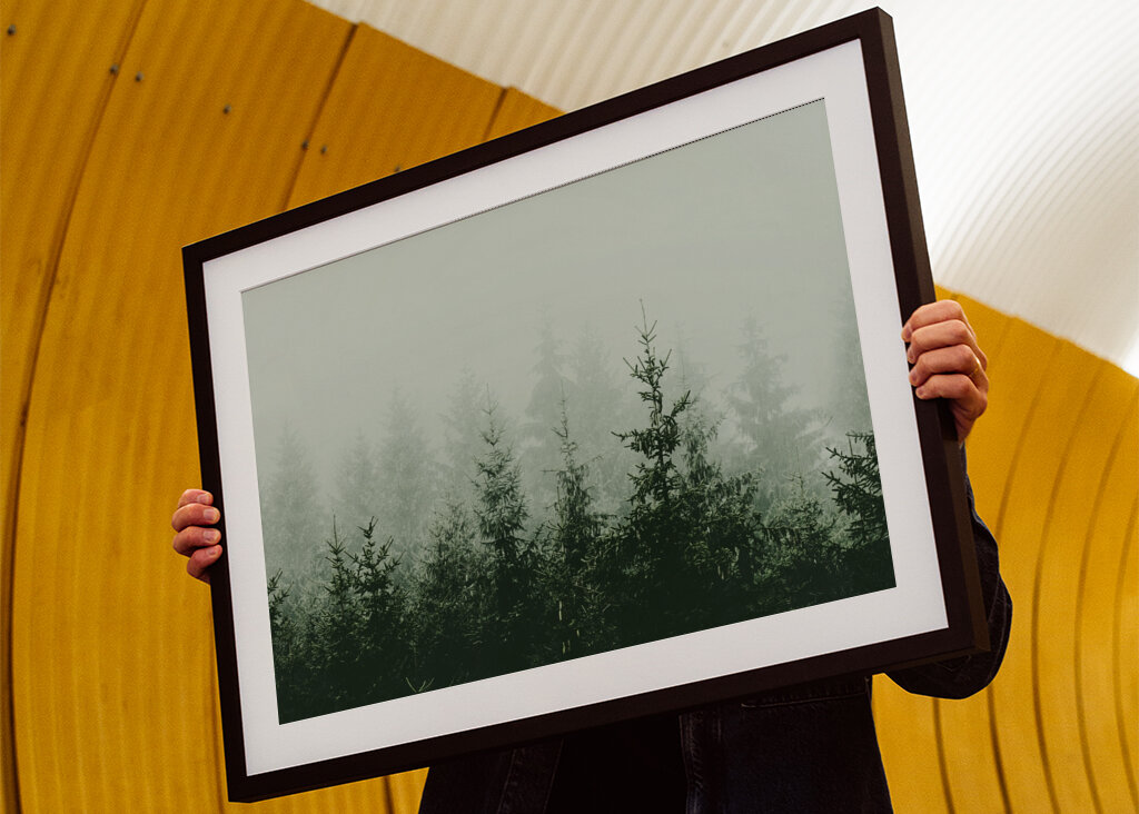 Mountain Forest Green